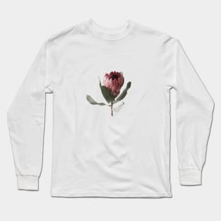 Protea flower Long Sleeve T-Shirt